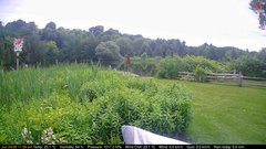 view from Deck-Dock Cam on 2026-06-24