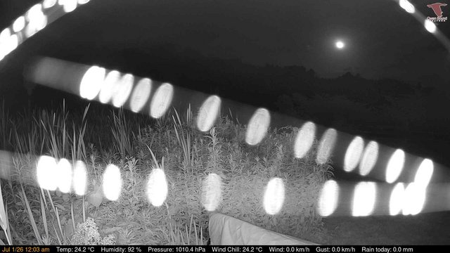 time-lapse frame, Deck-Dock Cam webcam