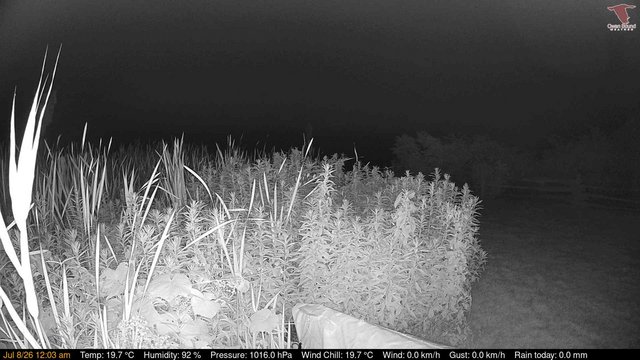 time-lapse frame, Deck-Dock Cam webcam