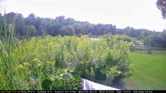 view from Deck-Dock Cam on 2026-08-10