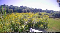 view from Deck-Dock Cam on 2026-08-15