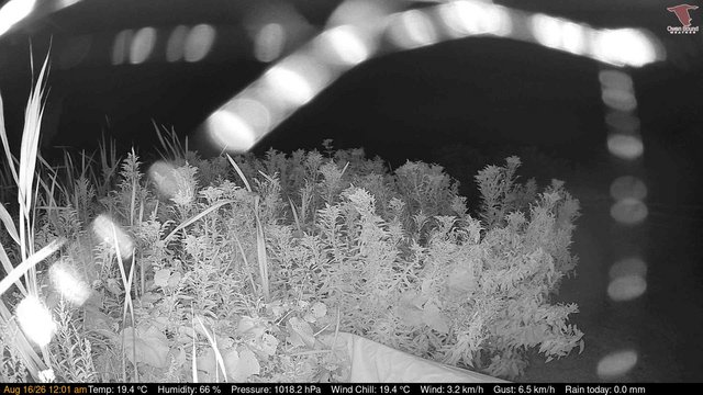 time-lapse frame, Deck-Dock Cam webcam