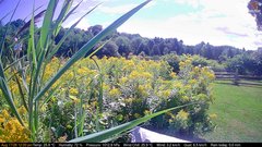 view from Deck-Dock Cam on 2026-08-17