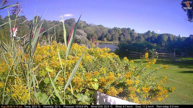 time-lapse frame, Deck-Dock Cam webcam