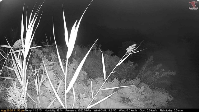 view from Deck-Dock Cam on 2026-08-28