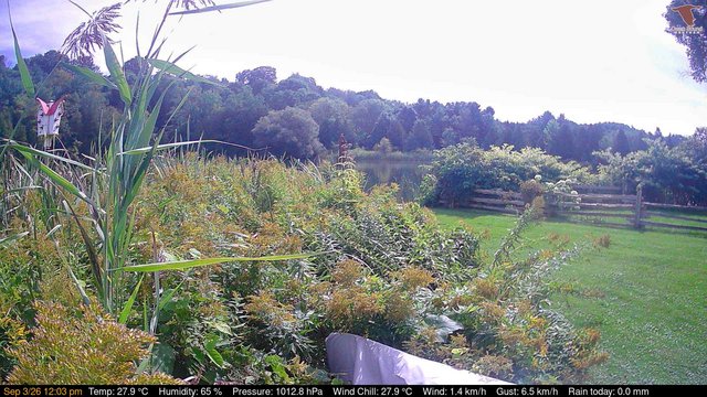 view from Deck-Dock Cam on 2026-09-03