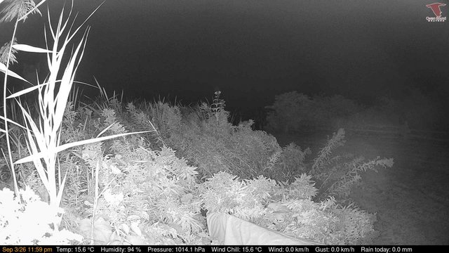 time-lapse frame, Deck-Dock Cam webcam