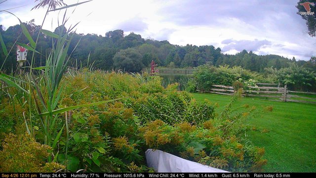 view from Deck-Dock Cam on 2026-09-04