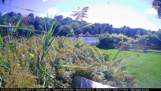 view from Deck-Dock Cam on 2026-09-05