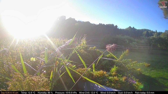 view from Deck-Dock Cam on 2026-09-06