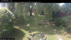 view from Wembury, Devon. Garden Cam on 2025-06-06