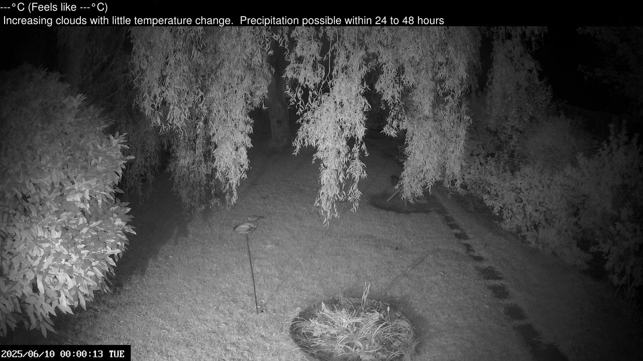 time-lapse frame, Wembury, Devon. Garden Cam webcam
