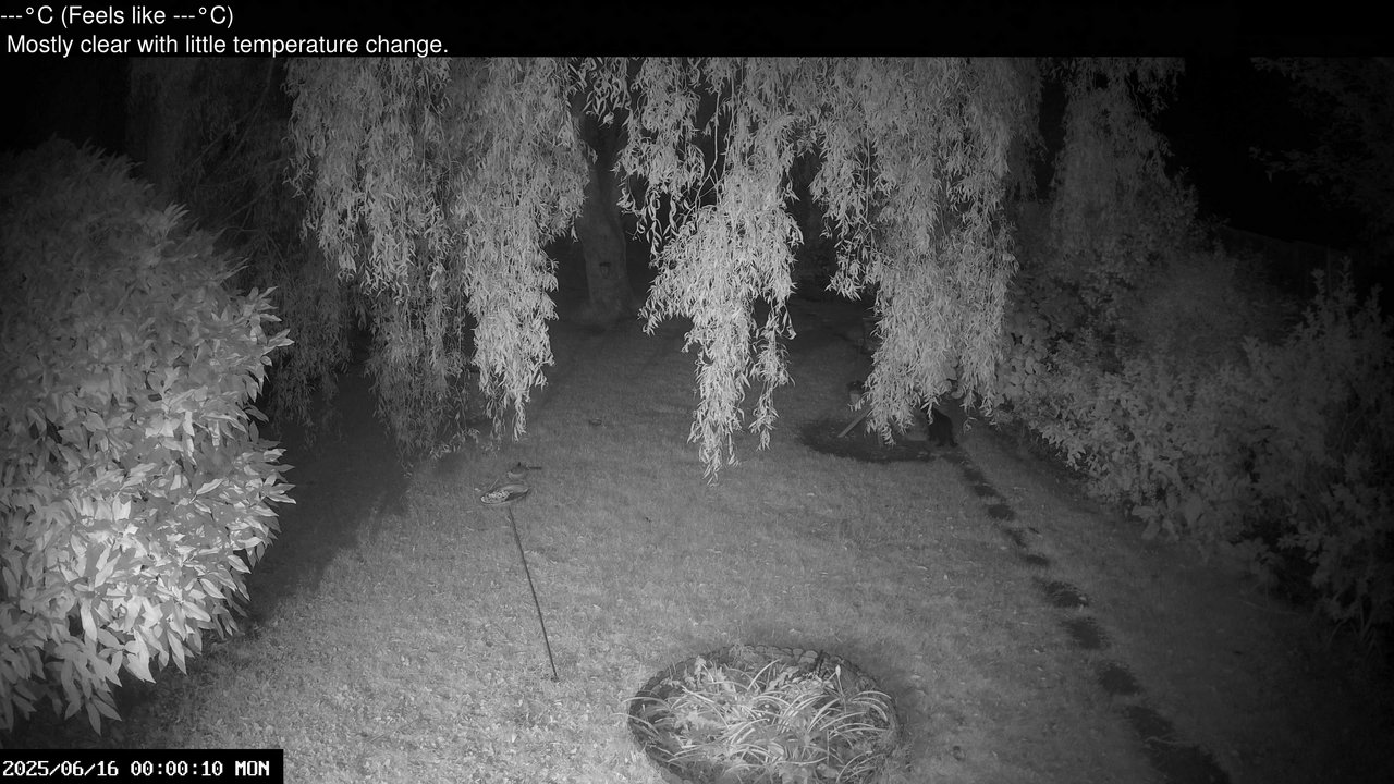 time-lapse frame, Wembury, Devon. Garden Cam webcam