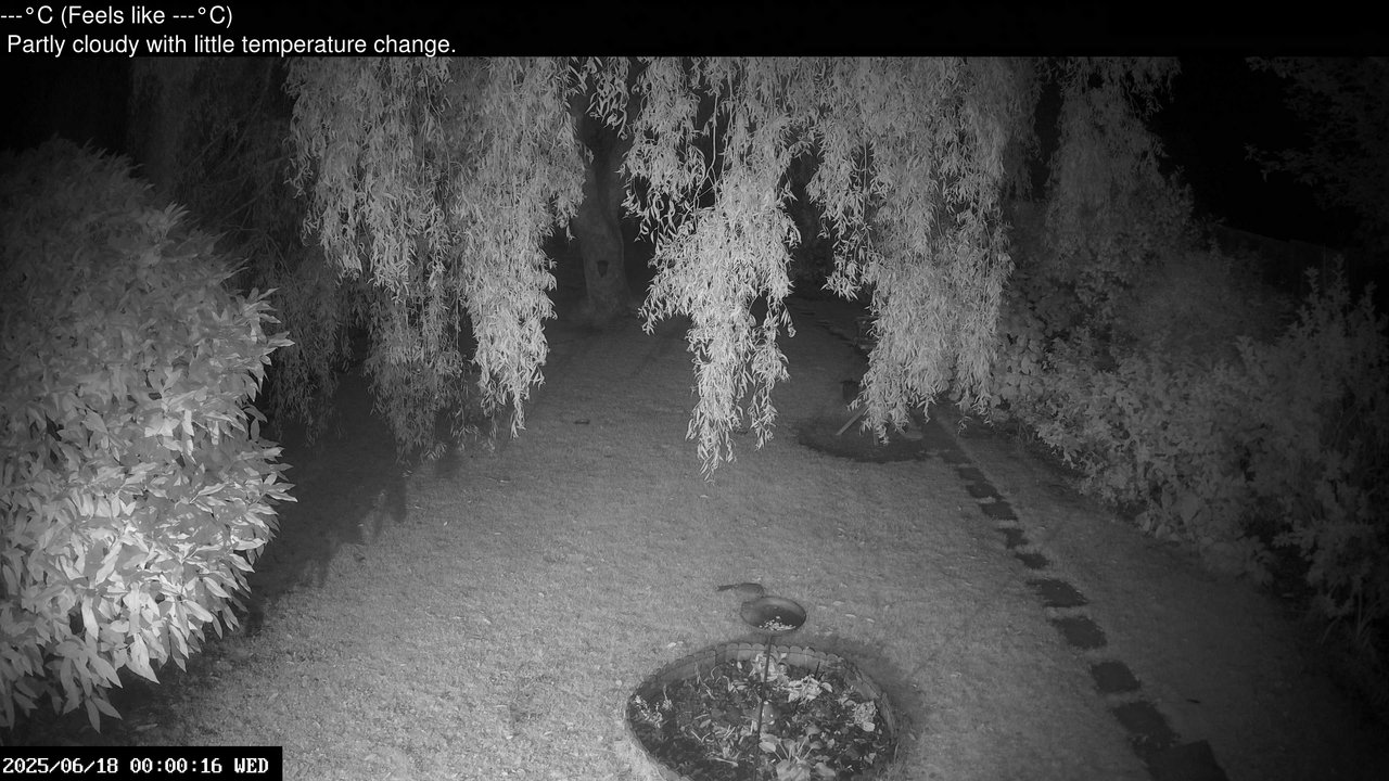 time-lapse frame, Wembury, Devon. Garden Cam webcam