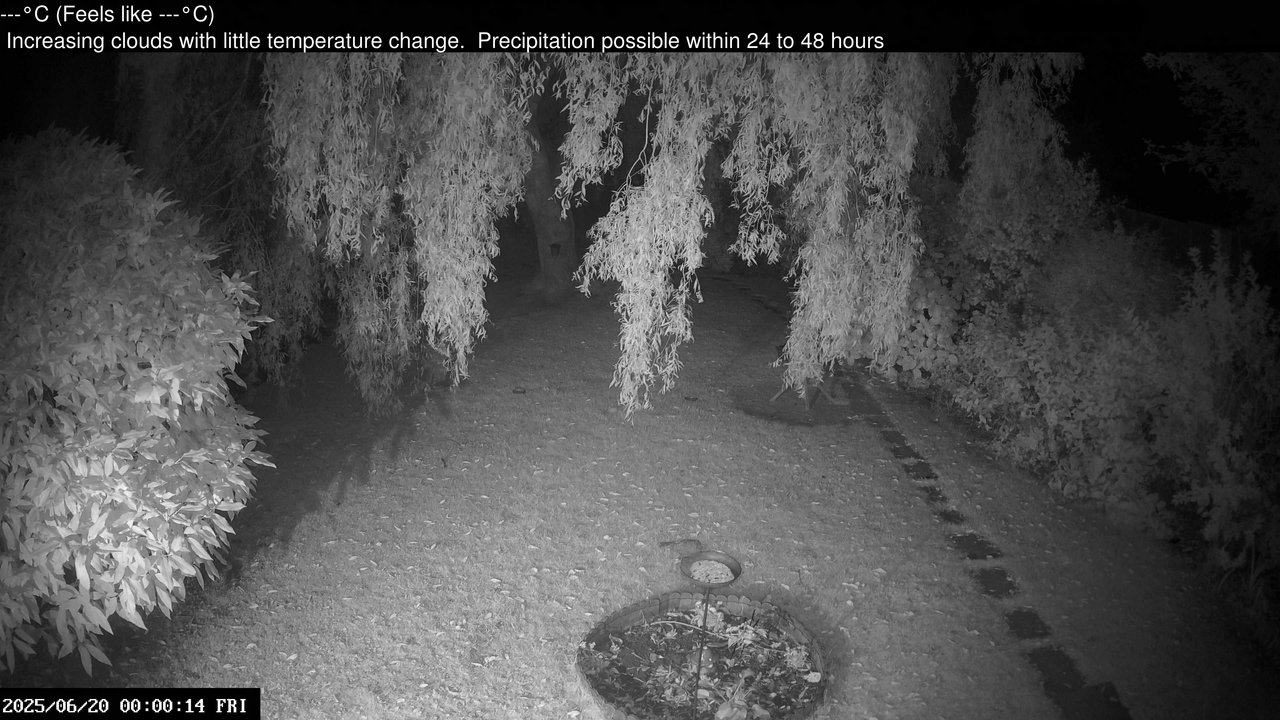 time-lapse frame, Wembury, Devon. Garden Cam webcam