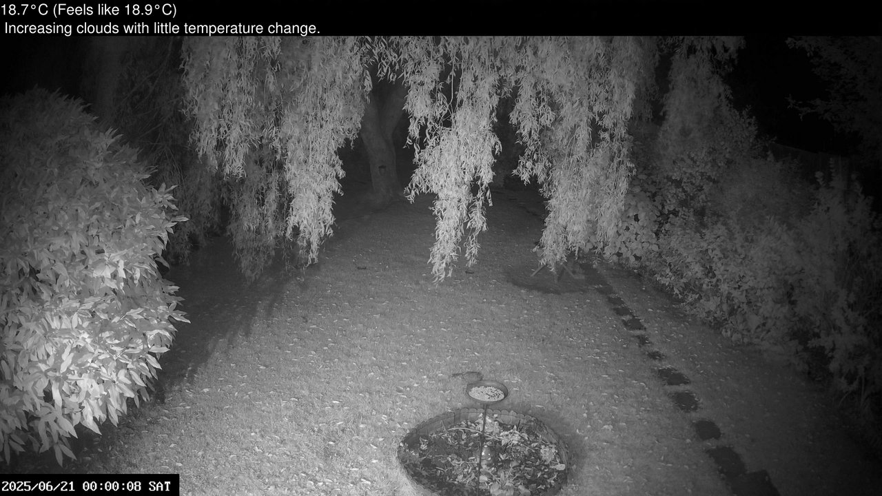 time-lapse frame, Wembury, Devon. Garden Cam webcam