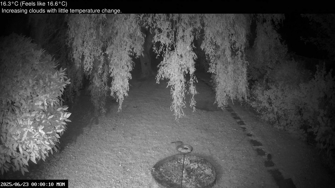 time-lapse frame, Wembury, Devon. Garden Cam webcam