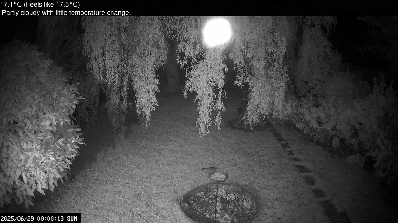 time-lapse frame, Wembury, Devon. Garden Cam webcam