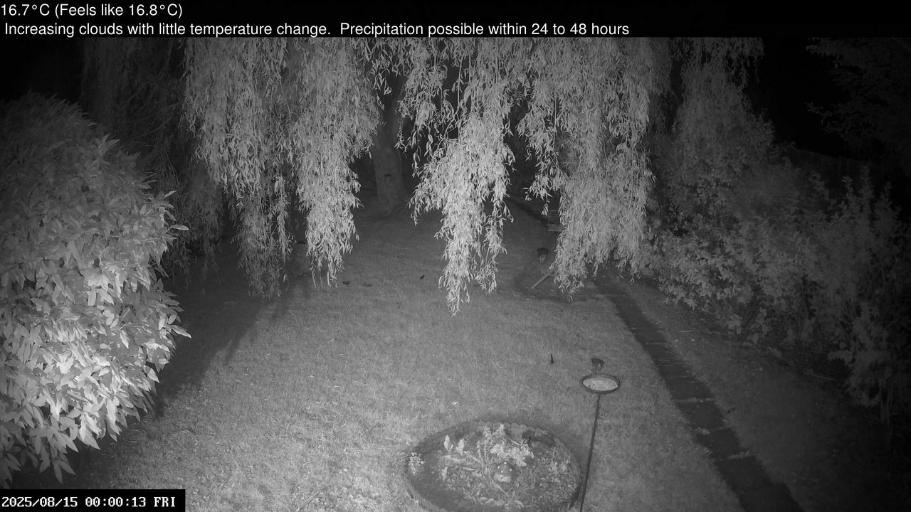 time-lapse frame, Wembury, Devon. Garden Cam webcam