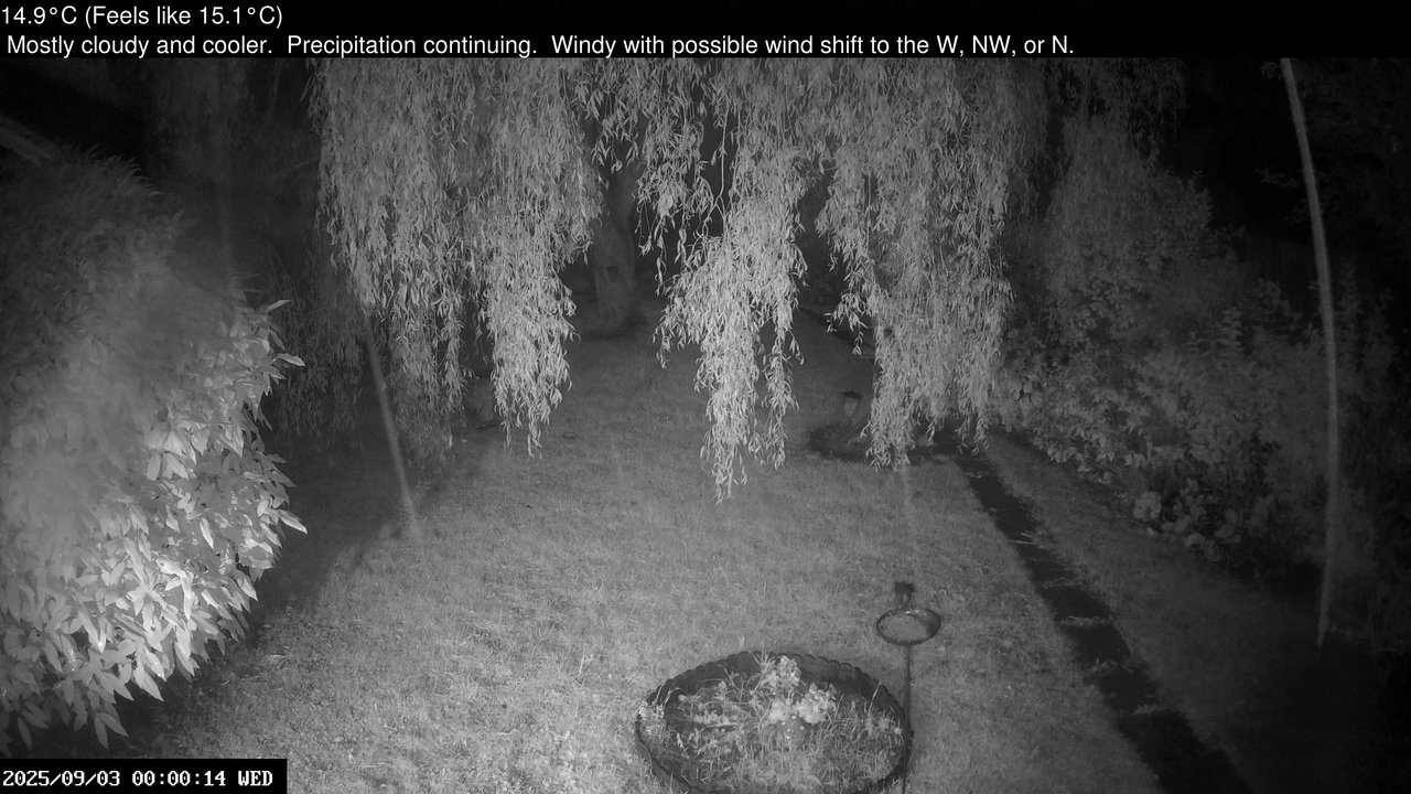 time-lapse frame, Wembury, Devon. Garden Cam webcam