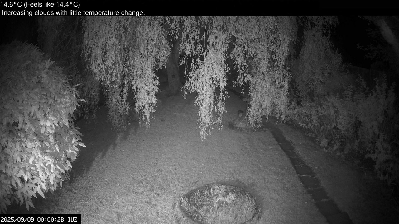 time-lapse frame, Wembury, Devon. Garden Cam webcam