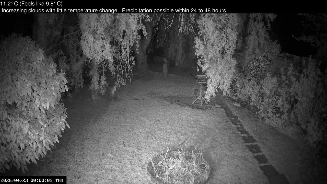 time-lapse frame, Wembury, Devon. Garden Cam webcam