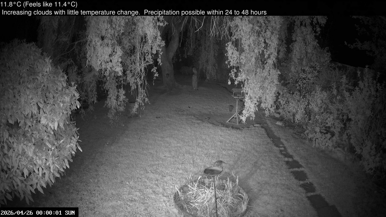 time-lapse frame, Wembury, Devon. Garden Cam webcam