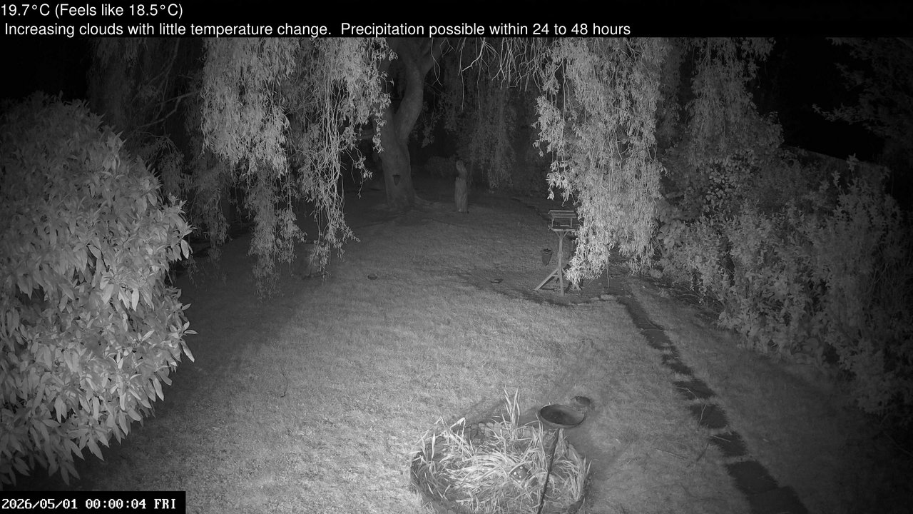 time-lapse frame, Wembury, Devon. Garden Cam webcam