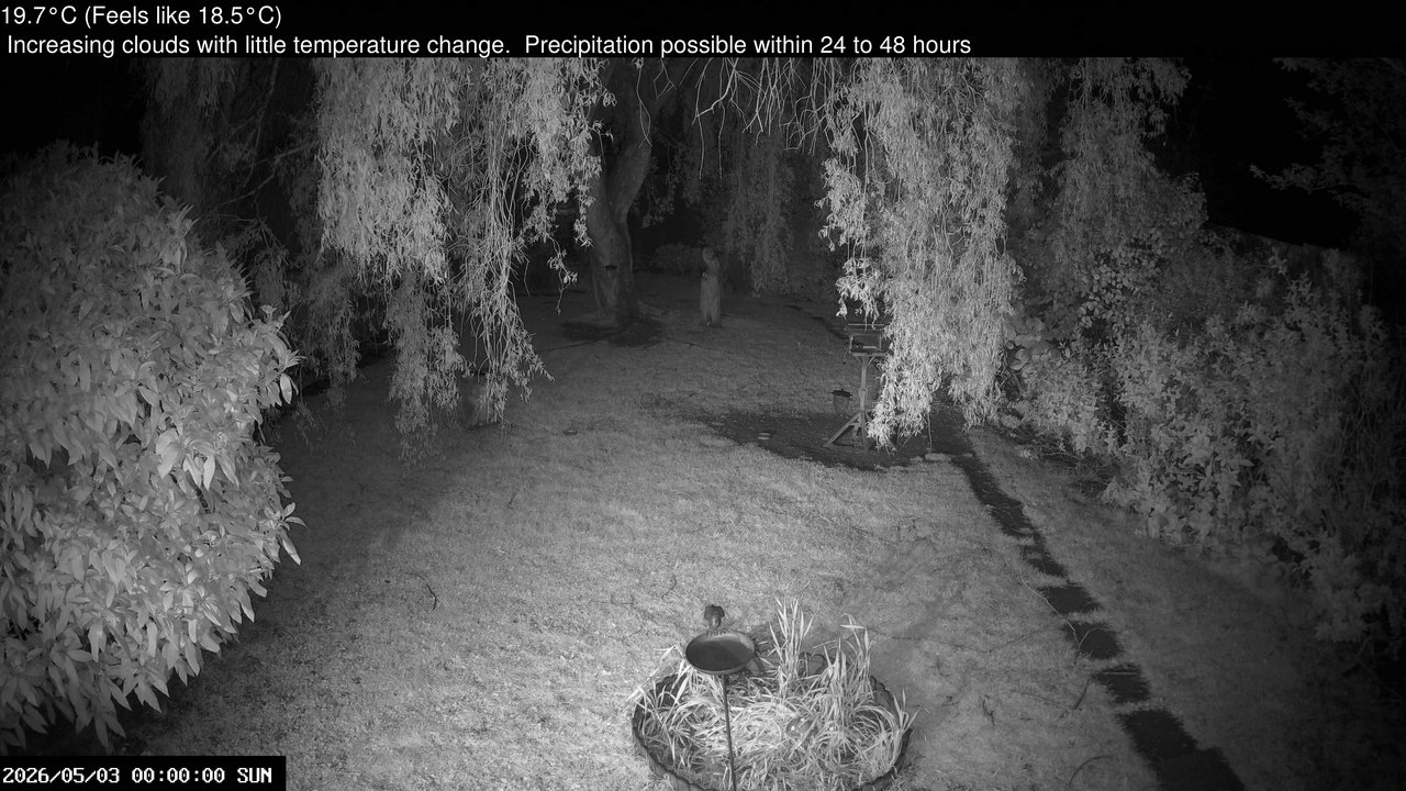 time-lapse frame, Wembury, Devon. Garden Cam webcam