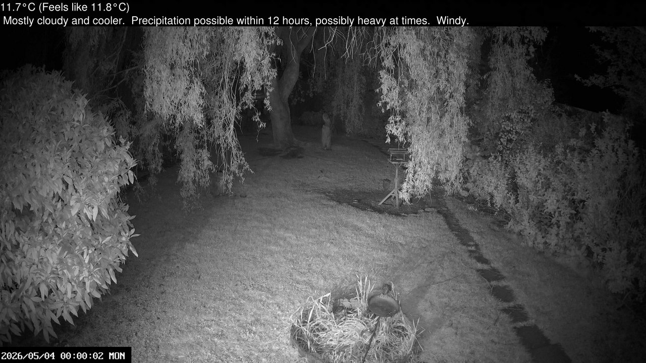 time-lapse frame, Wembury, Devon. Garden Cam webcam