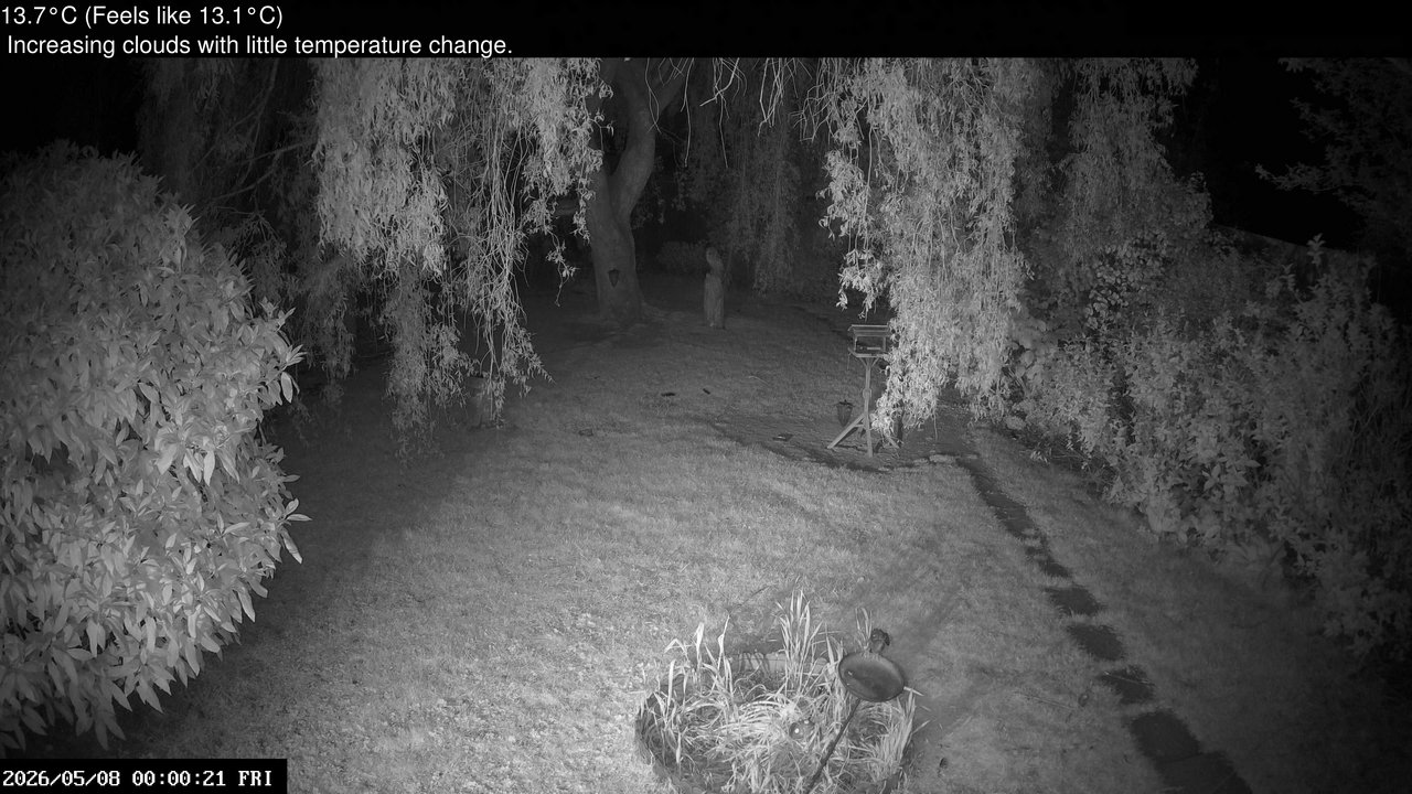 time-lapse frame, Wembury, Devon. Garden Cam webcam