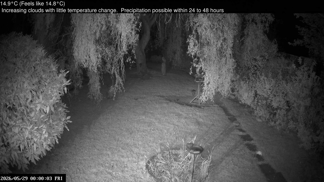 time-lapse frame, Wembury, Devon. Garden Cam webcam