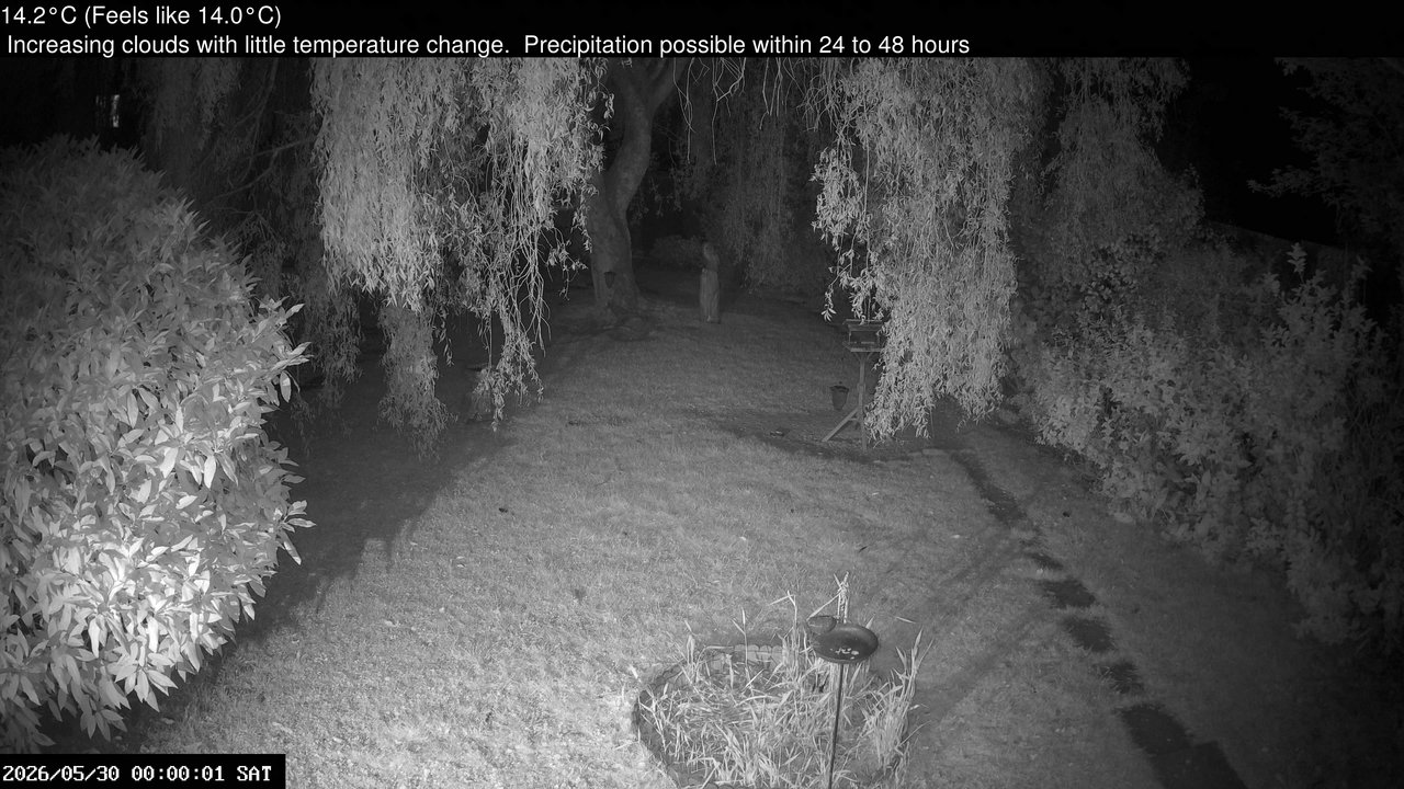 time-lapse frame, Wembury, Devon. Garden Cam webcam