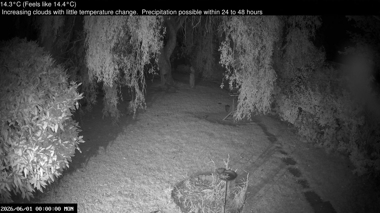 time-lapse frame, Wembury, Devon. Garden Cam webcam