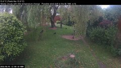 view from Wembury, Devon. Garden Cam on 2026-06-01