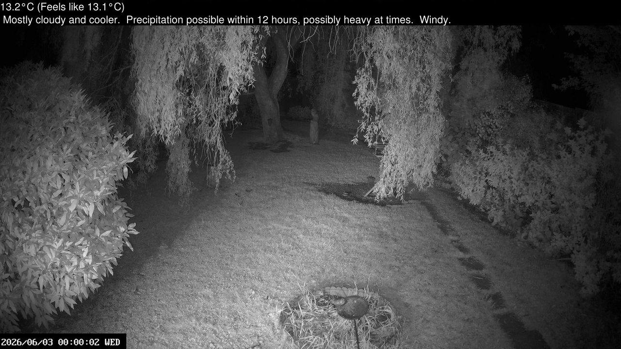 time-lapse frame, Wembury, Devon. Garden Cam webcam