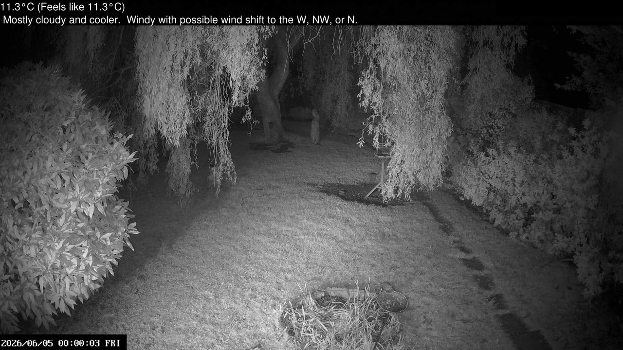 time-lapse frame, Wembury, Devon. Garden Cam webcam