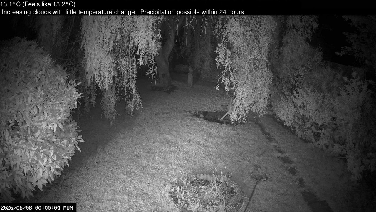 time-lapse frame, Wembury, Devon. Garden Cam webcam