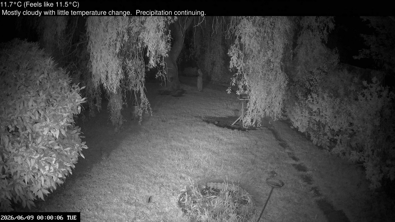 time-lapse frame, Wembury, Devon. Garden Cam webcam