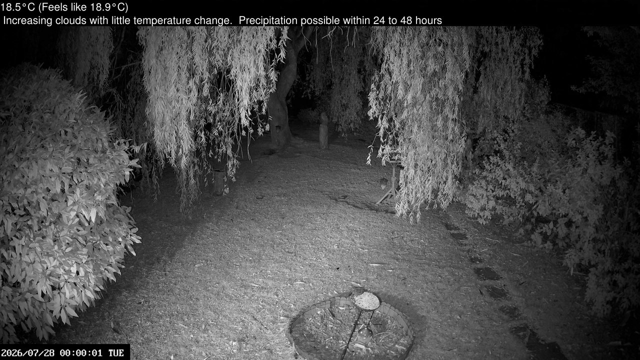 time-lapse frame, Wembury, Devon. Garden Cam webcam