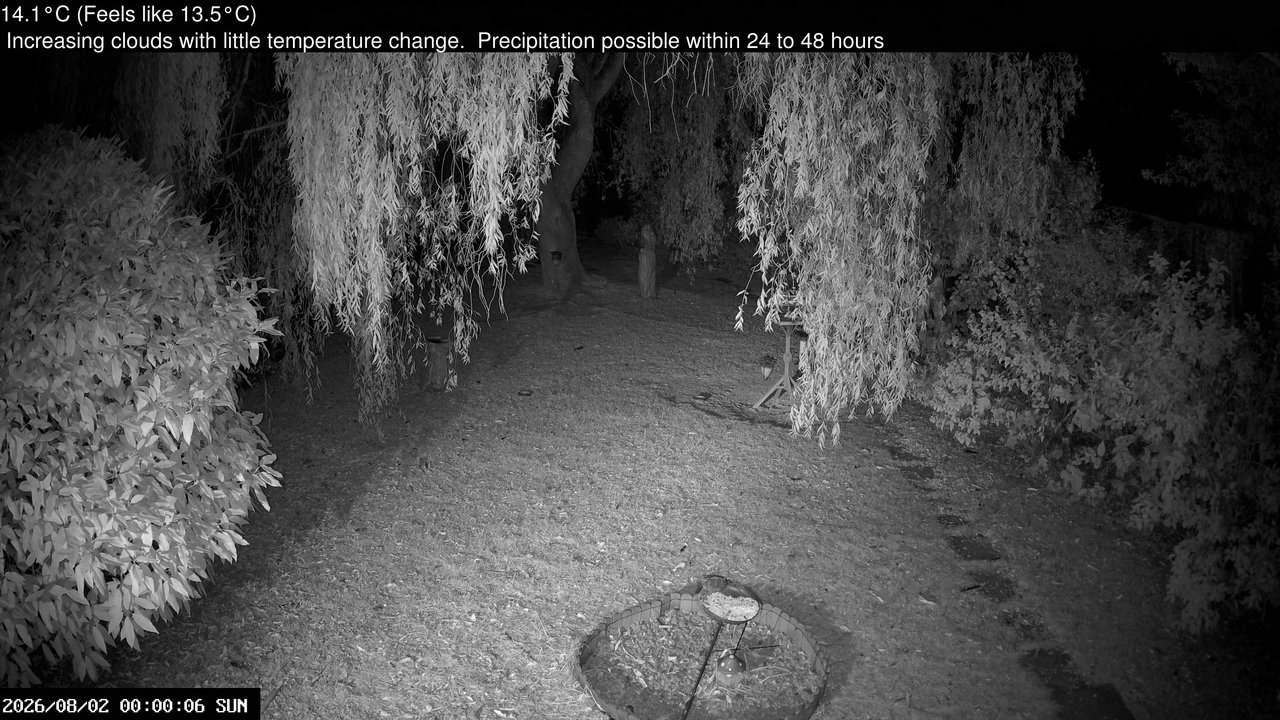 time-lapse frame, Wembury, Devon. Garden Cam webcam