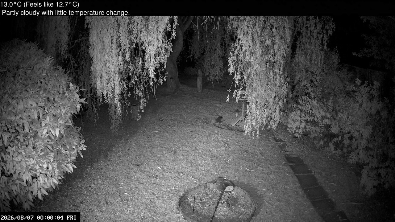 time-lapse frame, Wembury, Devon. Garden Cam webcam