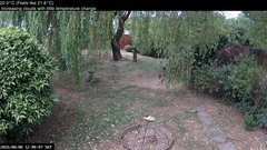 view from Wembury, Devon. Garden Cam on 2026-08-08