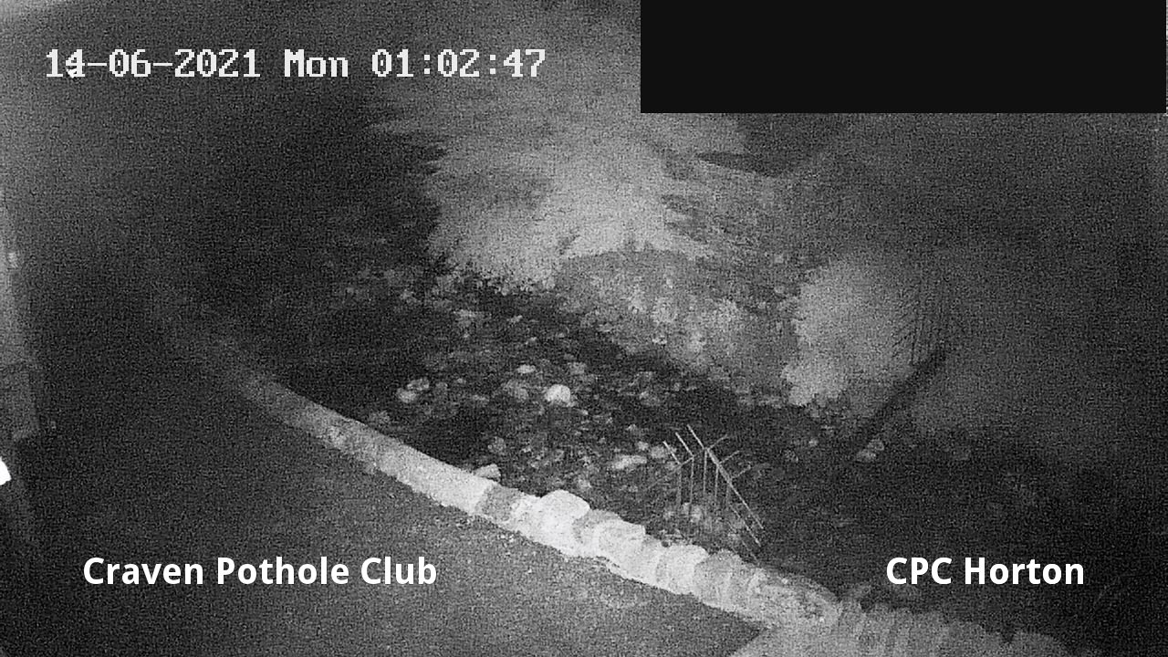 time-lapse frame, HortonBrantsGillCam webcam
