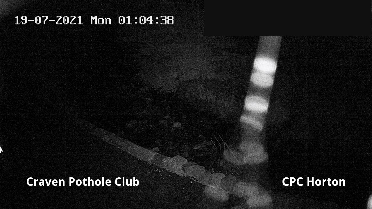 time-lapse frame, HortonBrantsGillCam webcam