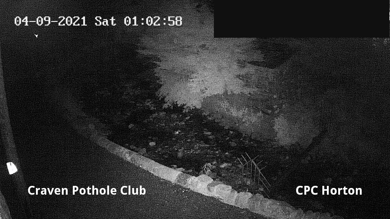 time-lapse frame, HortonBrantsGillCam webcam