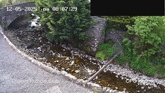 view from HortonBrantsGillCam on 2025-05-12