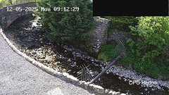 view from HortonBrantsGillCam on 2025-05-12