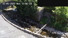 view from HortonBrantsGillCam on 2025-05-12