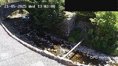 view from HortonBrantsGillCam on 2025-05-21